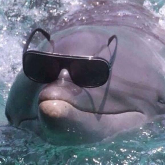 pfaffy